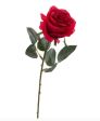 Regalami una Rosa 